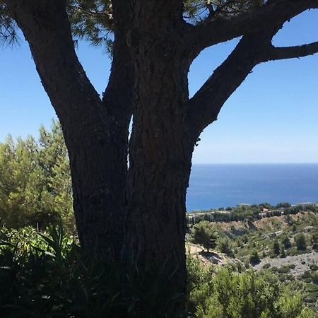 Magnifique Studio Cassis Esterno foto